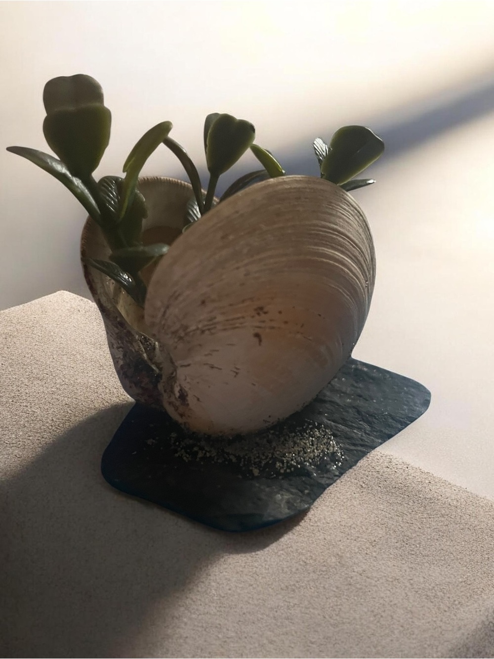 Natural Seashell Planter with Green Accent - Home Art